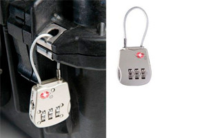 Other BackPack, TSA Lock etc.